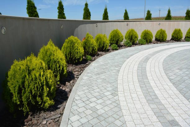 Best Driveway Paving Contractor  in Spring Ridge, MD